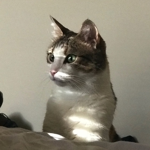 Meet your Posher, Brent - Picture 1 of 1